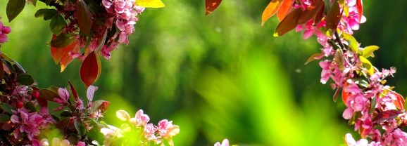 Forvandl din have med lys og stemning året rundt